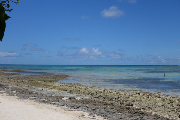 d0039312_19405295.jpg