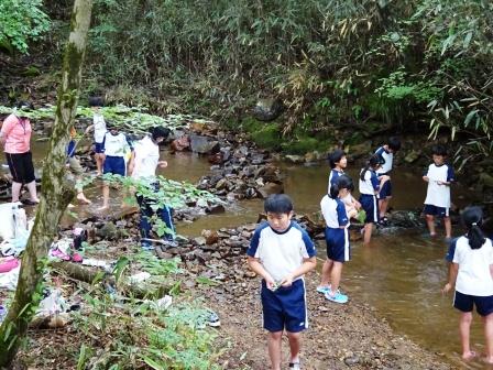 自然観察案内（森林教室）　豊川市立赤坂小学校_d0105723_1838475.jpg