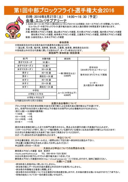 中部ブロックフライト選手権_f0138923_9184361.jpg
