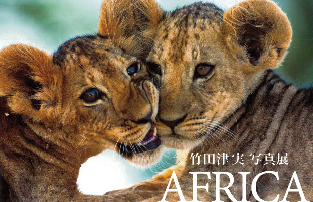 竹田津実氏 展覧会「AFRICA」_b0187229_16385724.jpg