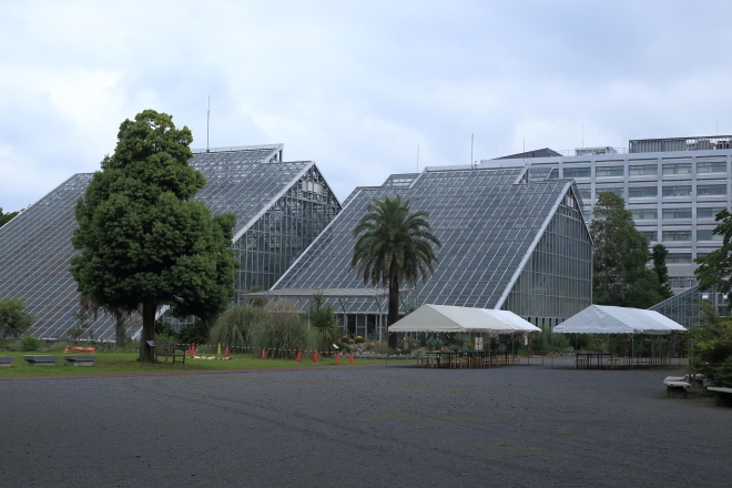 茨城　大人の遠足　筑波実験植物園～ふくろうの家～JAXA筑波宇宙センター_e0227942_22021135.jpg