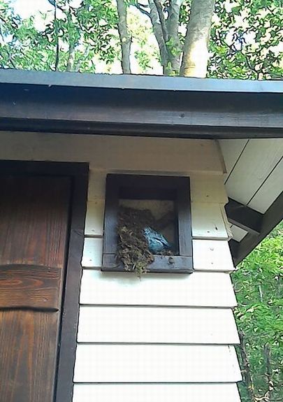 f0090444_2146558.jpg
