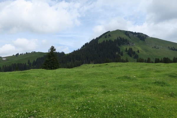 e0356046_04220118.jpg