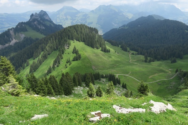 e0356046_04223190.jpg