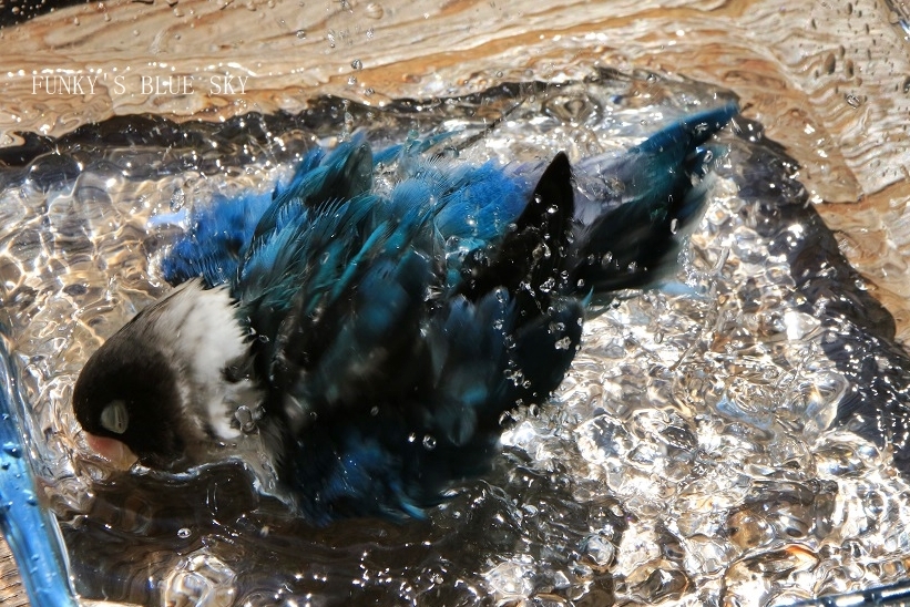 c0145250_08595871.jpg