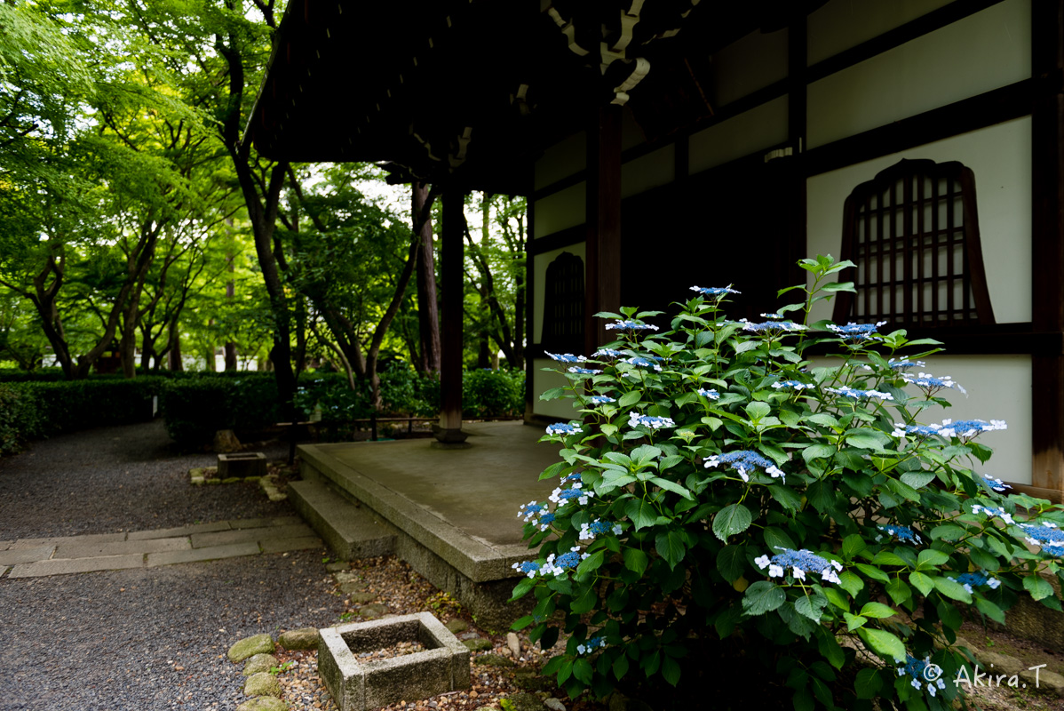 f0152550_2012239.jpg