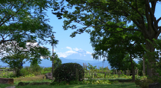 中央道下りの富士山（７月４日）_b0300051_22083104.jpg