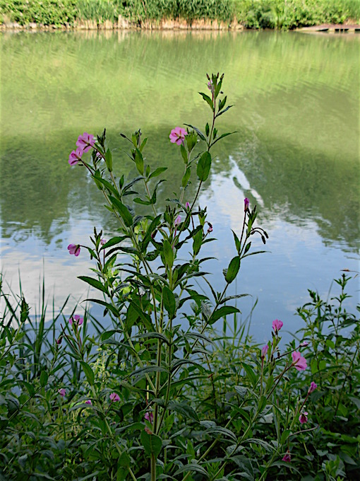 e0357367_2264267.jpg