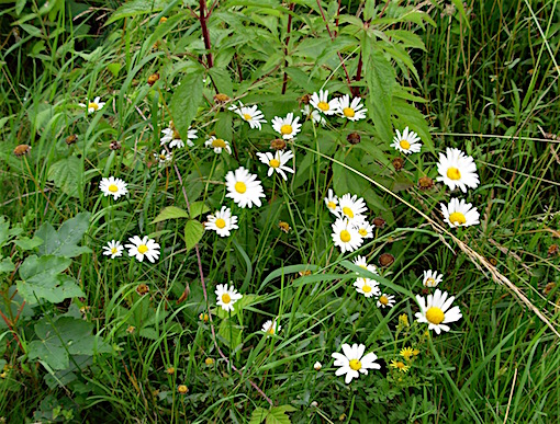 e0357367_227189.jpg
