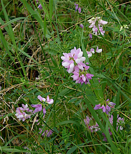 e0357367_2283671.jpg