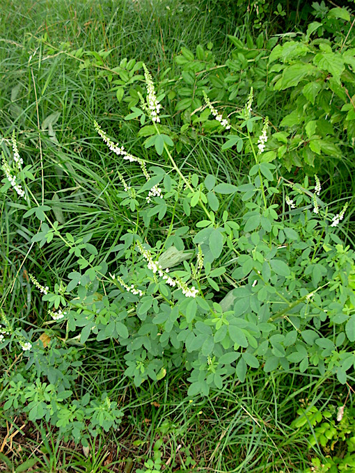 e0357367_228531.jpg