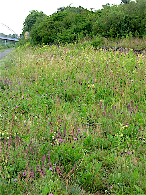 e0357367_2292350.jpg
