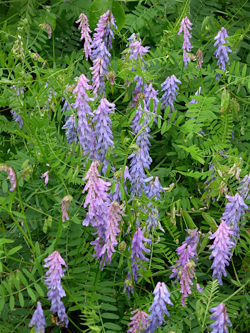e0357367_229798.jpg
