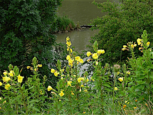 e0357367_231434.jpg