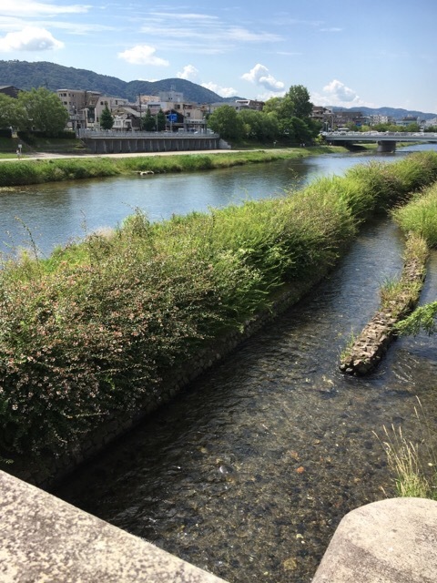 f0363168_20073893.jpg