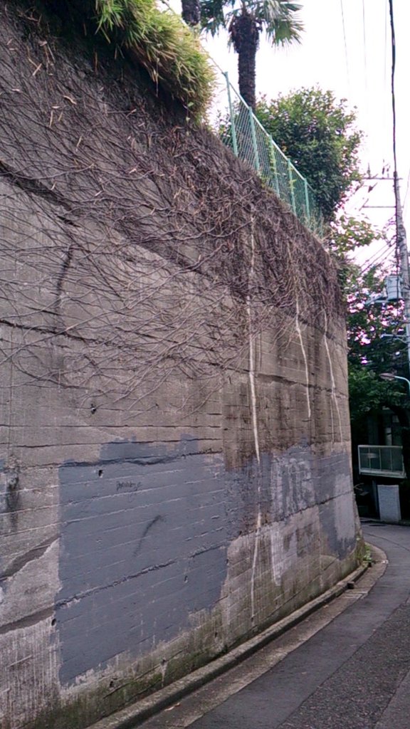 神宮前　素顔の渋谷区、GRAFFITTI_c0002171_2063890.jpg