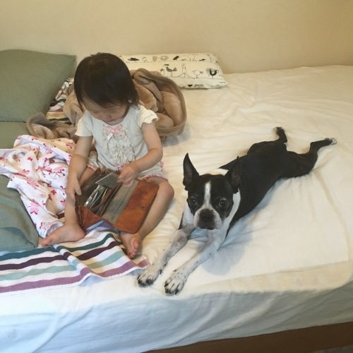 d0041575_20152193.jpeg