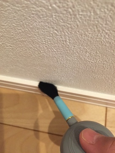 a0335677_21131513.jpeg