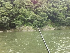 毛鉤釣りは最高の巻 : 鮎毛鉤釣りの旅