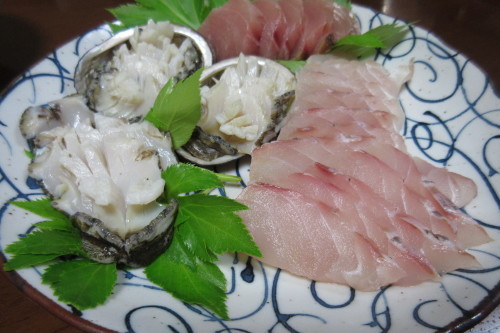 トコブシ!_c0204385_17294916.jpg