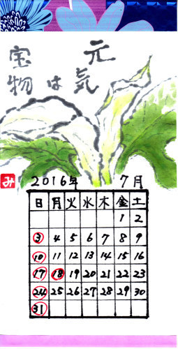 16年7月 花水木絵手紙 花のカレンダー Nonkoの絵手紙便り