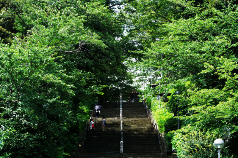f0063686_22385128.jpg