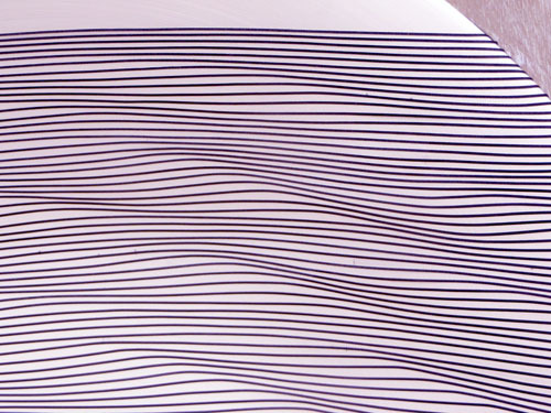 d0085887_00572565.jpg
