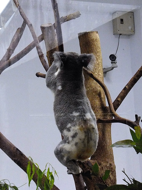 c0001491_0462145.jpg