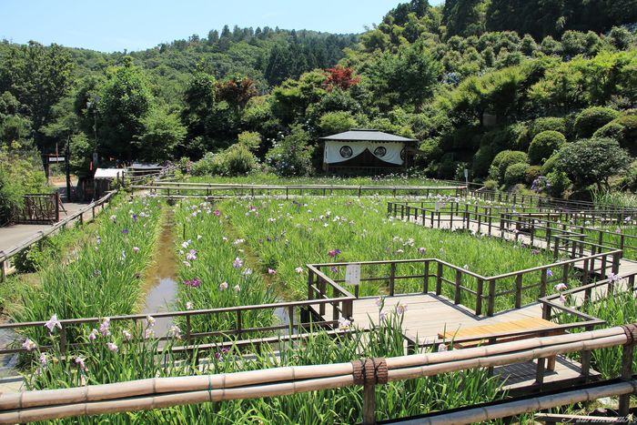 大安禅寺その２_e0121792_2125196.jpg