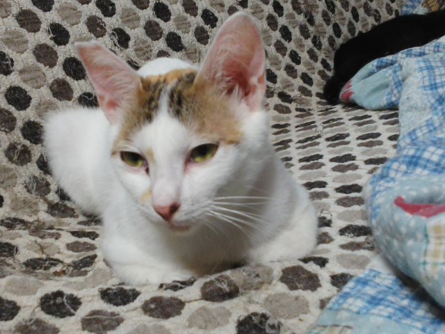 d0179994_00492996.jpg