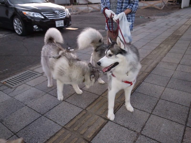 ひさしぶり~ (^o^)_c0049299_23351045.jpg