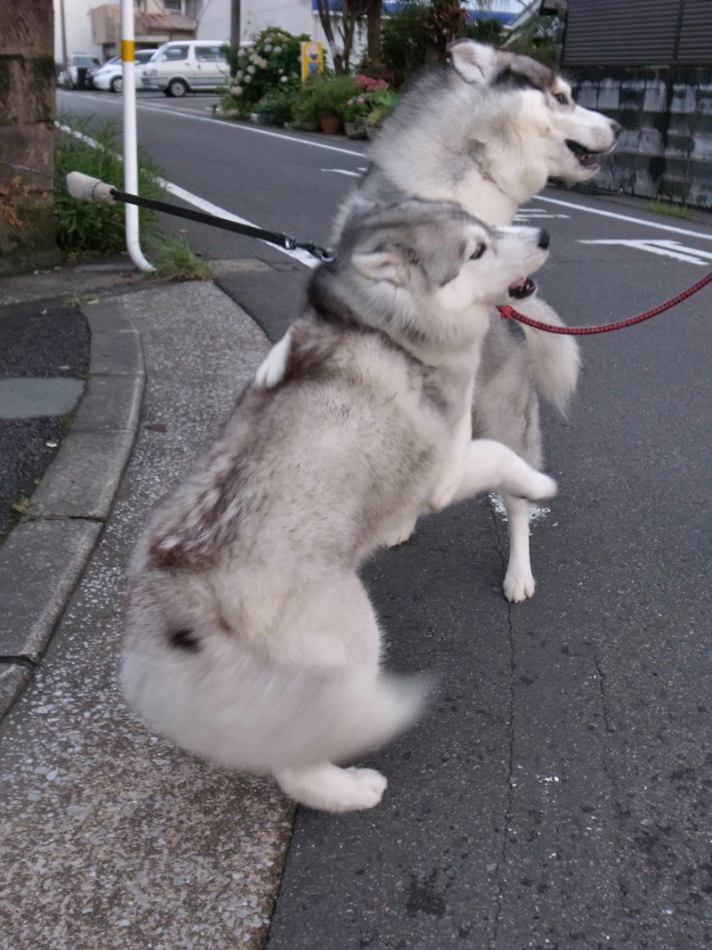ひさしぶり~ (^o^)_c0049299_23381517.jpg