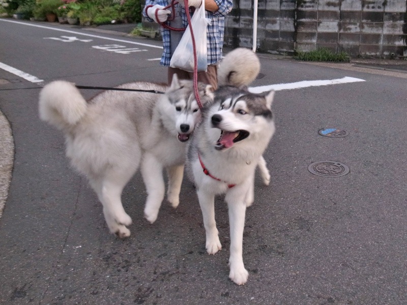 ひさしぶり~ (^o^)_c0049299_233979.jpg