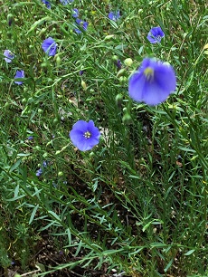 c0028304_21501852.jpg