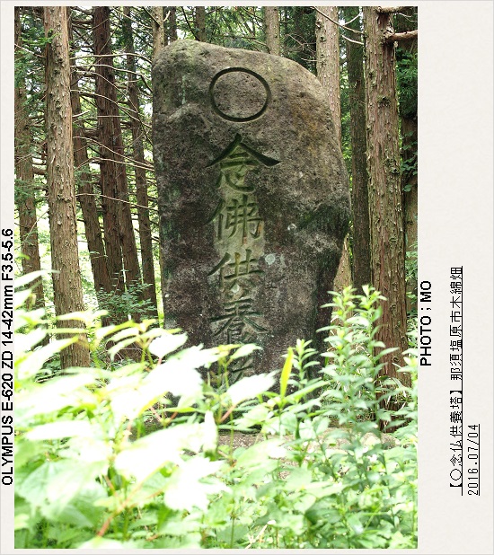 c0185705_836462.jpg