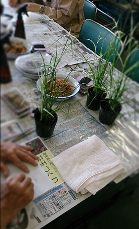 f0217905_22022789.jpg