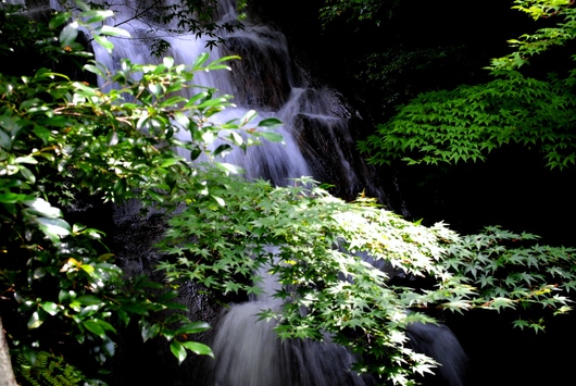 f0361605_2241229.jpg