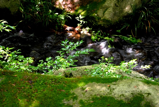 f0361605_2241593.jpg