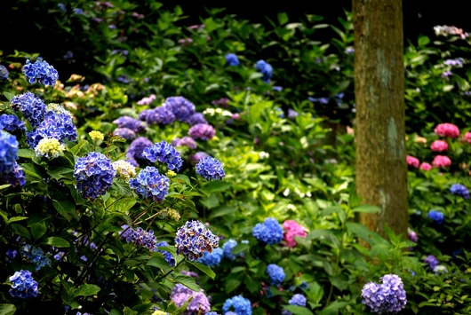 f0361605_22463815.jpg