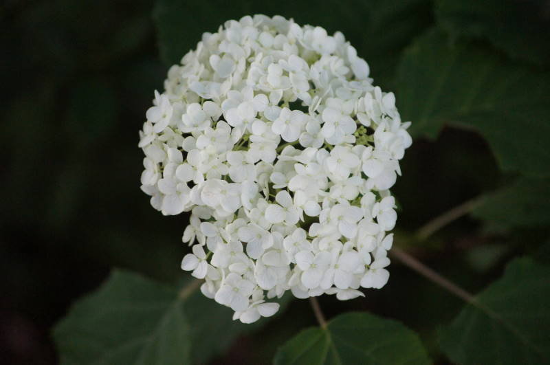 f0327308_08512204.jpg