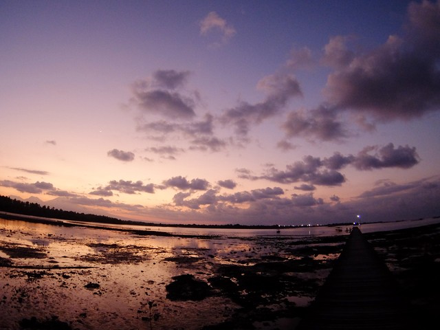 c0211615_8344217.jpg
