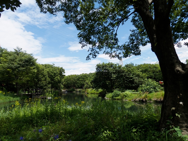 試し撮り_c0077531_11444794.jpg