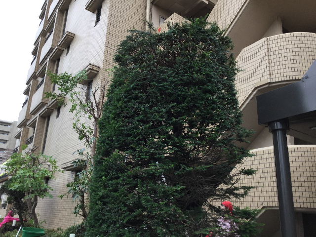 2t 弱のごみ・・・_f0031037_19294463.jpg