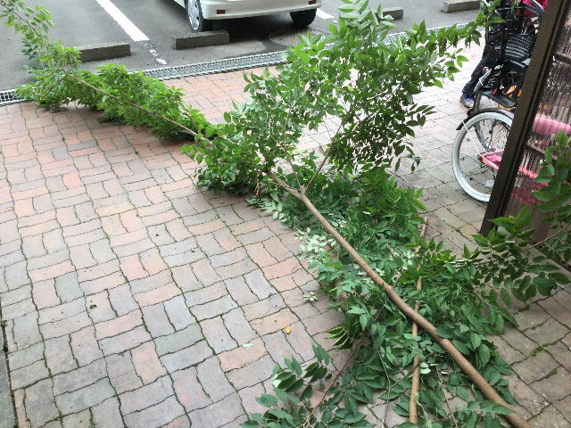 2t 弱のごみ・・・_f0031037_19345424.jpg
