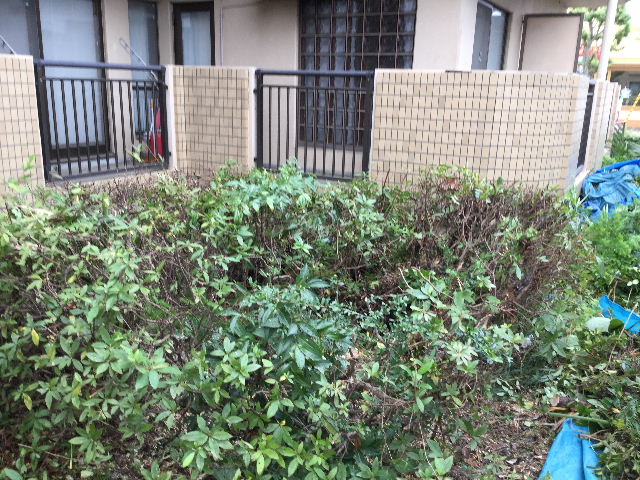 2t 弱のごみ・・・_f0031037_19404071.jpg