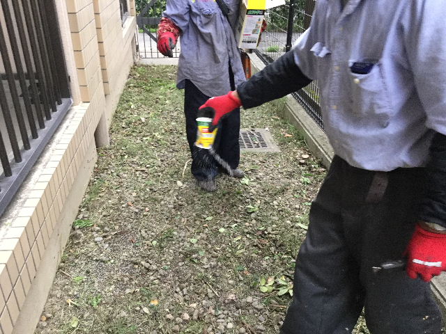 2t 弱のごみ・・・_f0031037_19585064.jpg