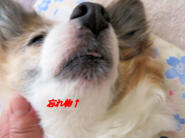 a0149240_22542100.jpg