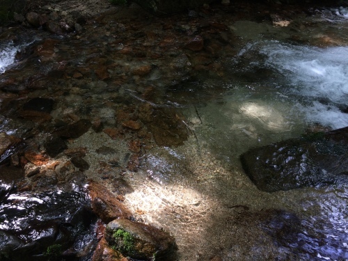 c0369344_06181305.jpeg