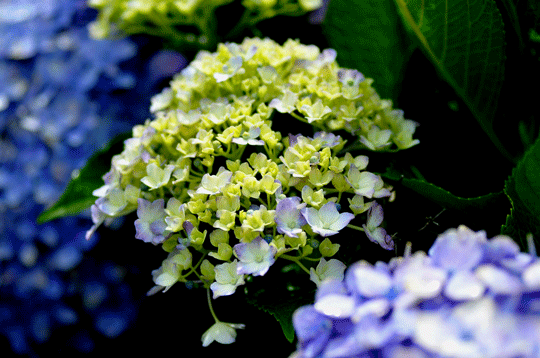 c0093046_9424893.gif