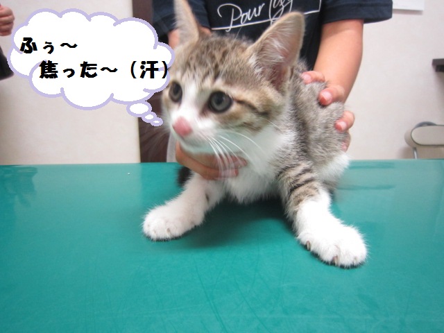 【不思議なご縁で・・・】_b0059154_17261892.jpg